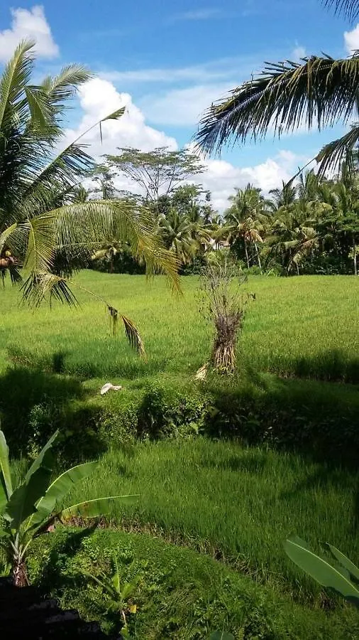 Penzion Hotel Kishi-Kishi Ubud