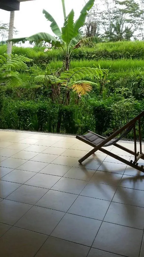 **** Vendégház Kishi-Kishi Hotel Ubud Indonézia