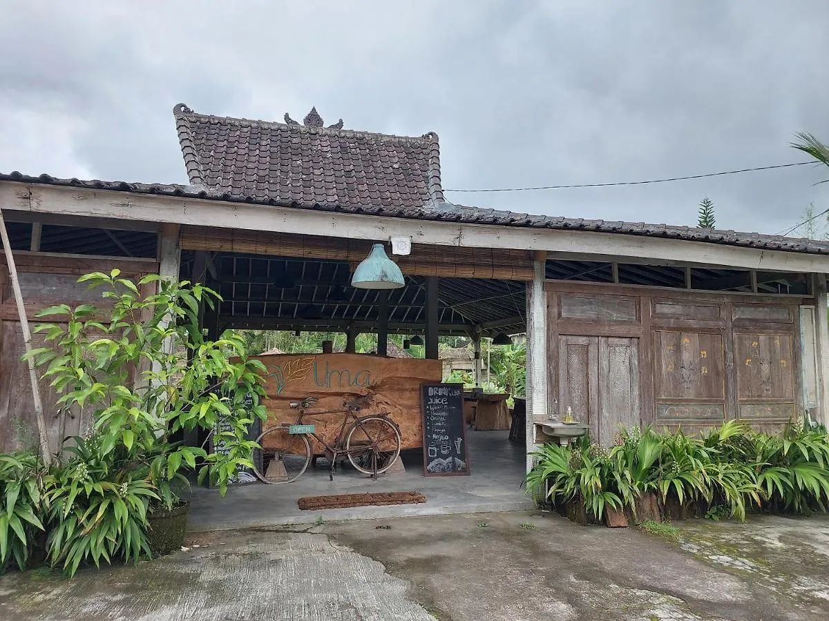 Kishi-Kishi Hotel Ubud Vendégház