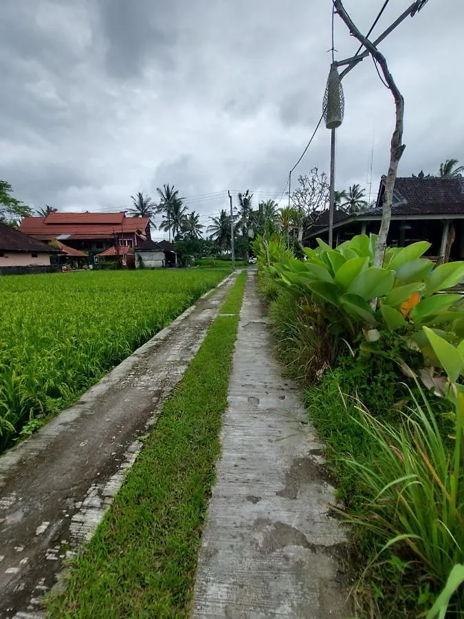 Vendégház Kishi-Kishi Hotel Ubud