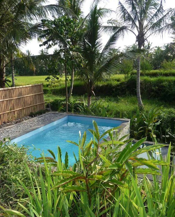 Hotel Kishi-Kishi Ubud