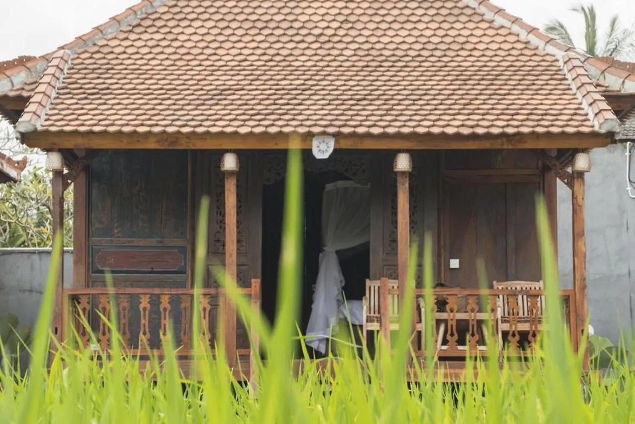 Penzion Hotel Kishi-Kishi Ubud