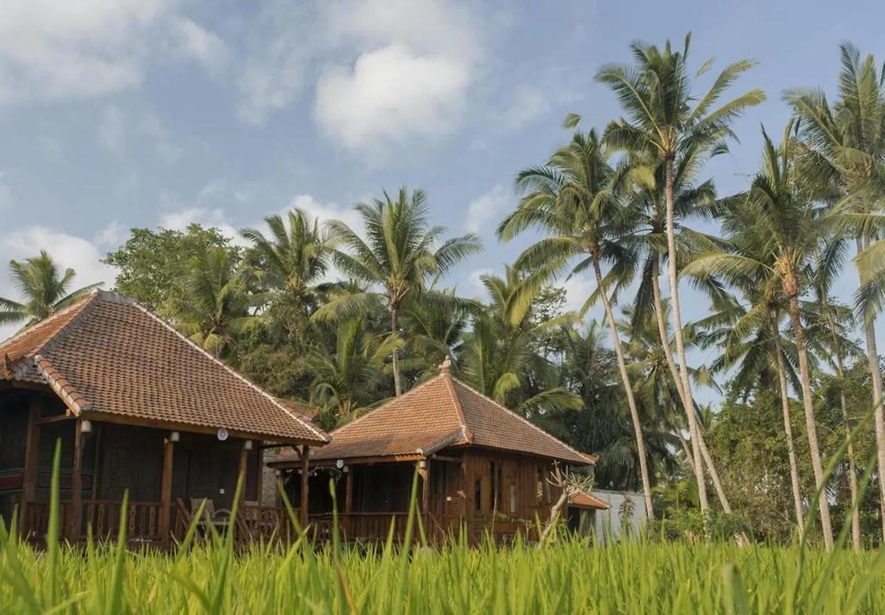Hotel Kishi-Kishi Ubud Penzion