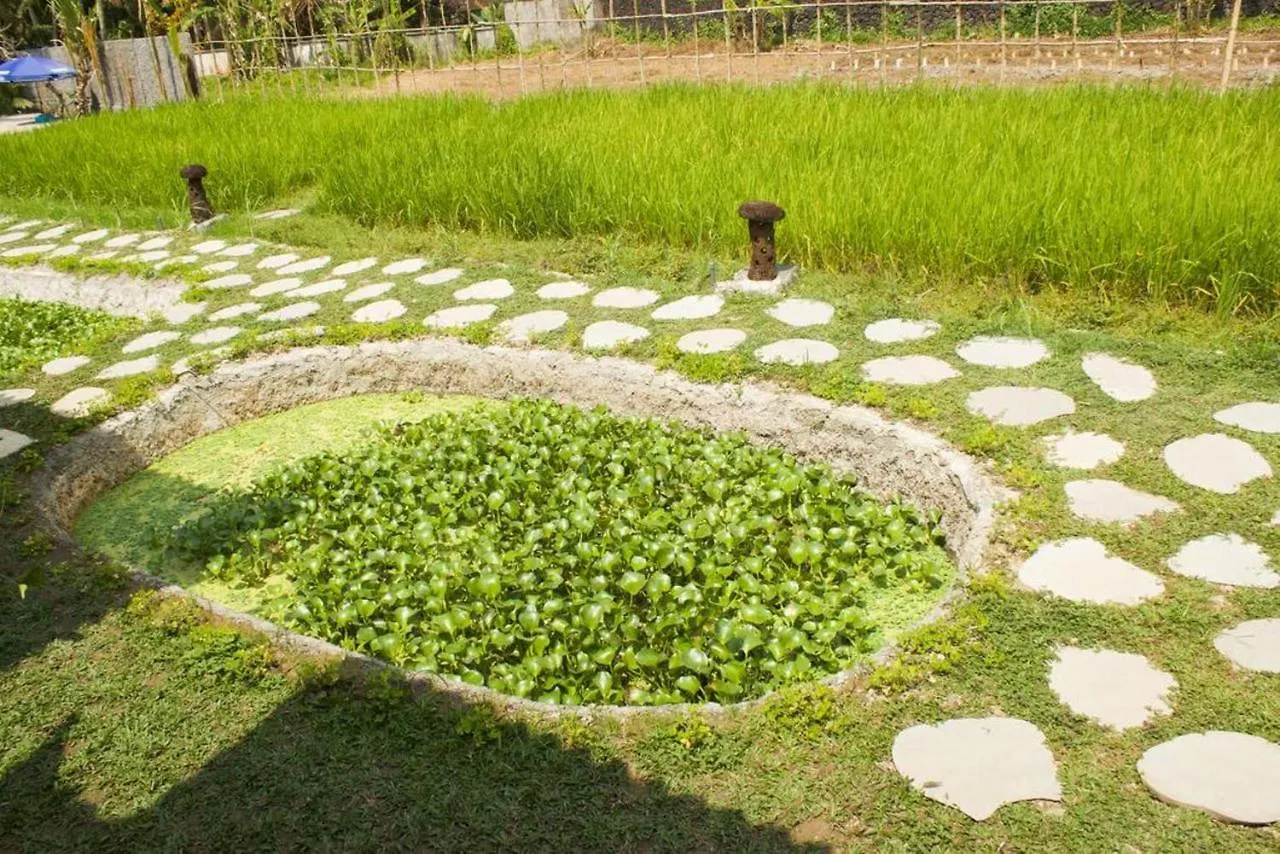 Hotel Kishi-Kishi Ubud