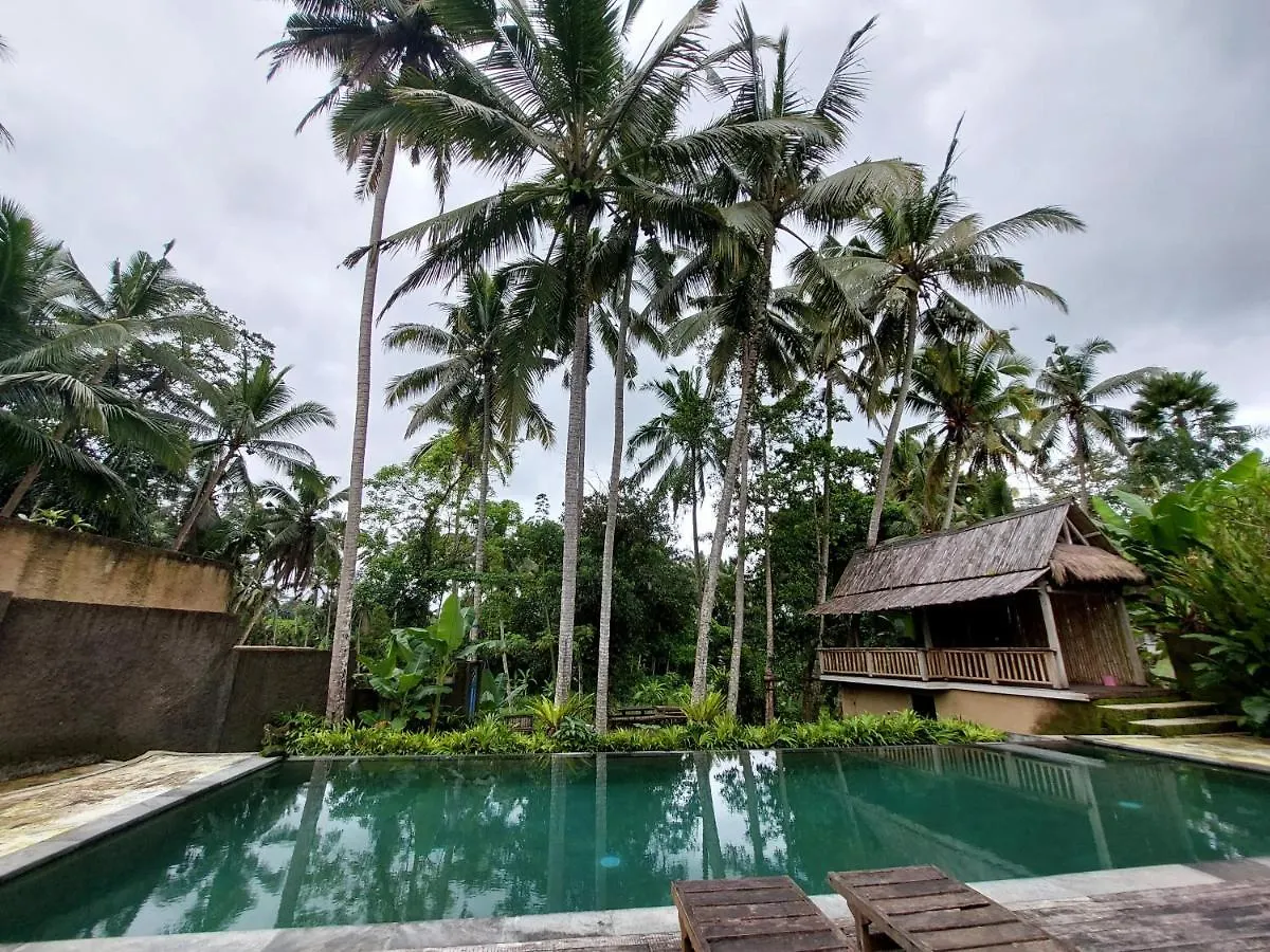 Hotel Kishi-Kishi Ubud 4*,  Indonésie
